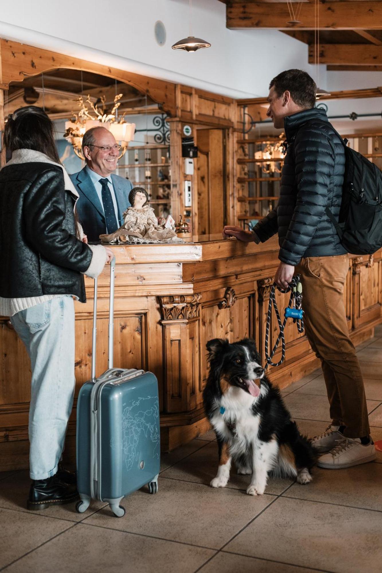 Hotel Belvedere San Martino Di Castrozza Dış mekan fotoğraf